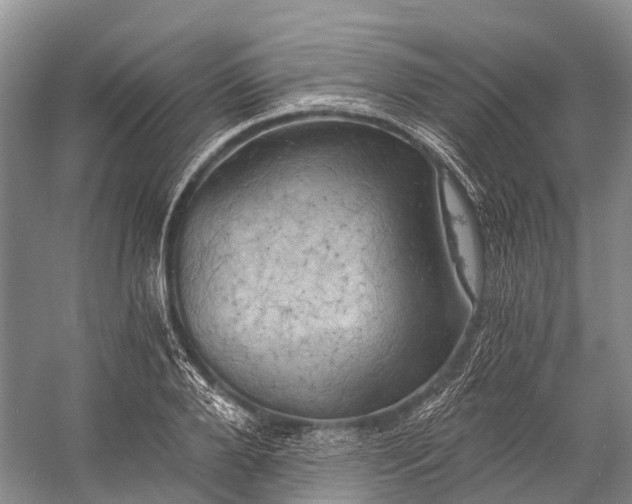 X0000058800888200510171344