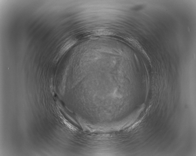 X0000058800889200510171344