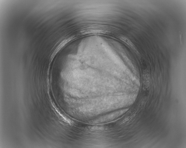 X0000058800890200510171344