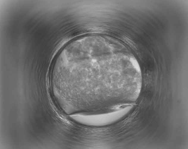 X0000058800891200510171344