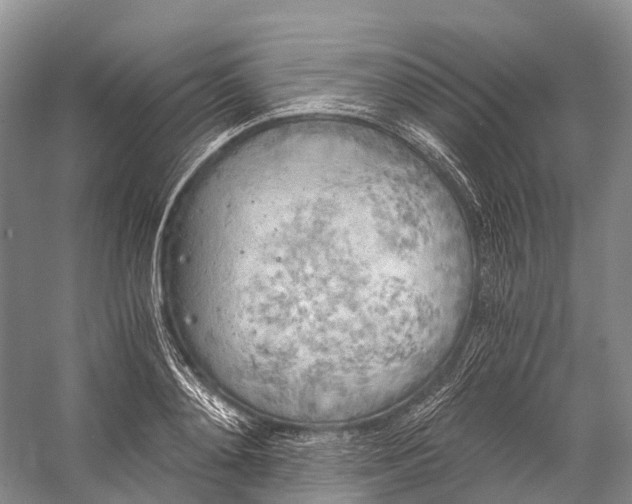 X0000058800892200510171344