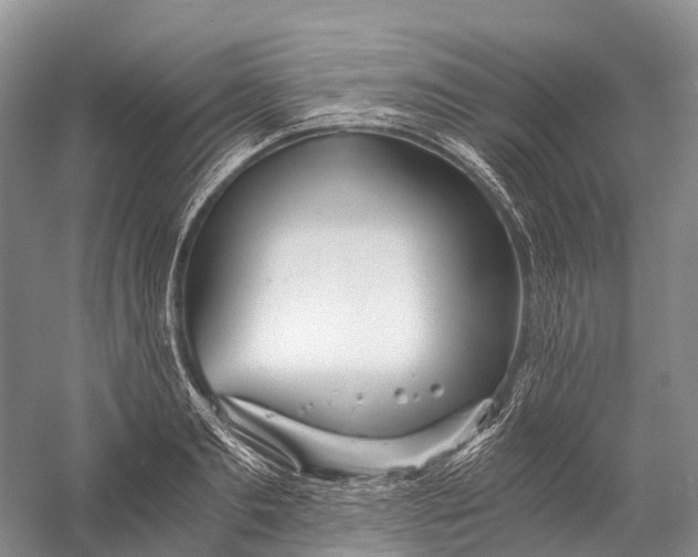 X0000058800893200510171344