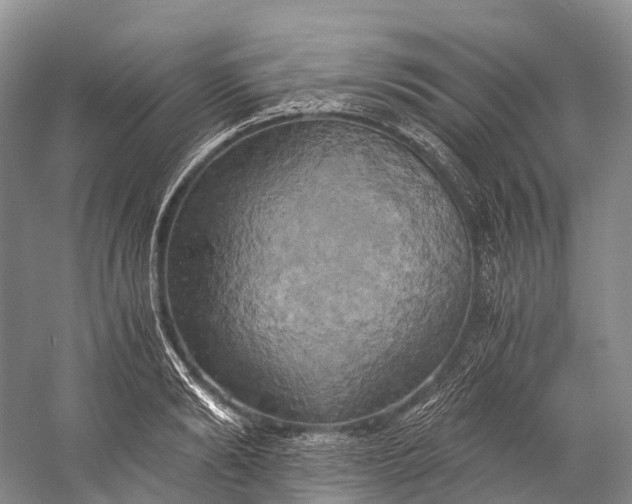 X0000058800894200510171344