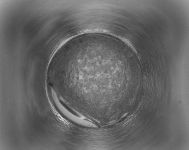 X0000058800895200510171344