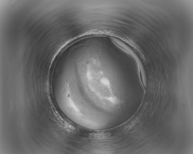 X0000058800896200510171344