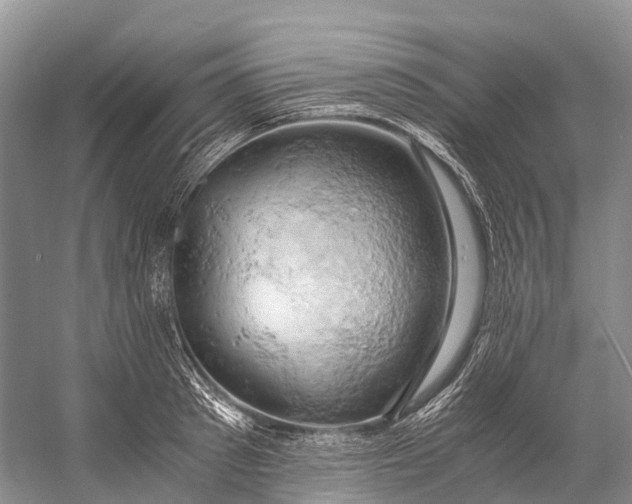 X0000058800897200510171344