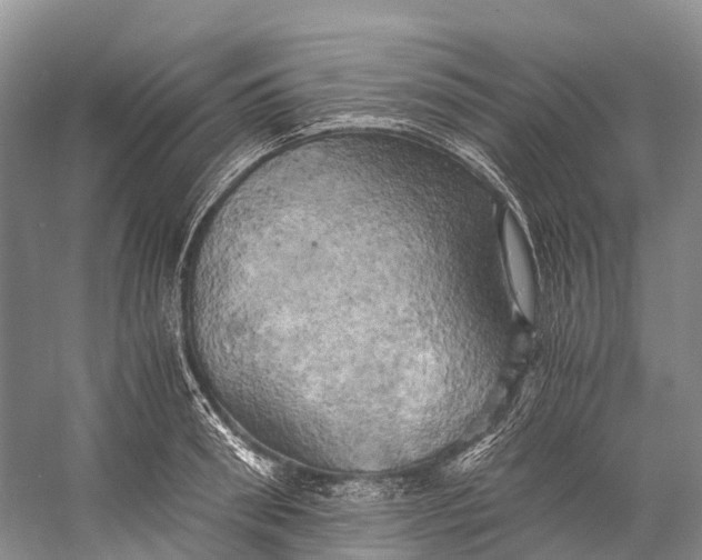 X0000058800898200510171344