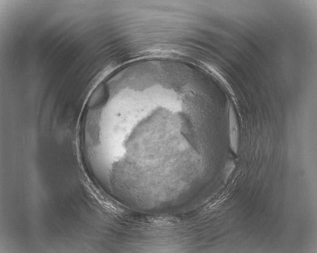 X0000058800899200510171344