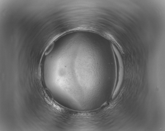 X0000058800900200510171344