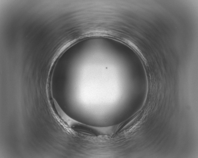 X0000058800901200510171344