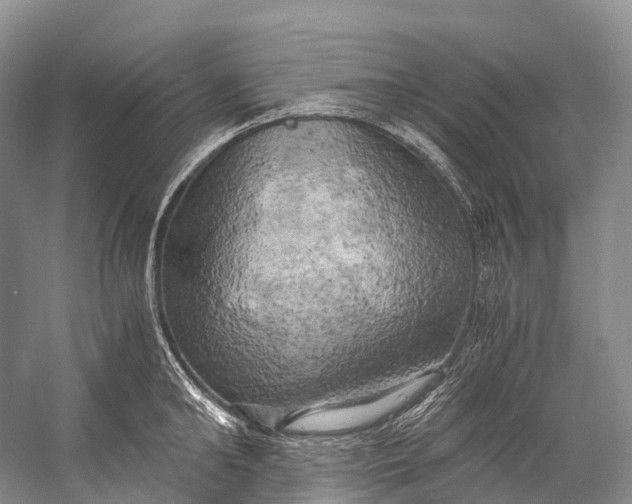 X0000058800902200510171344