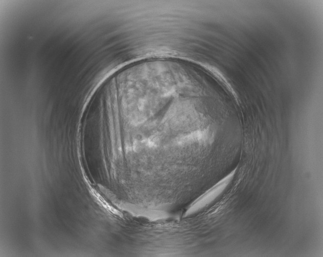 X0000058800903200510171343