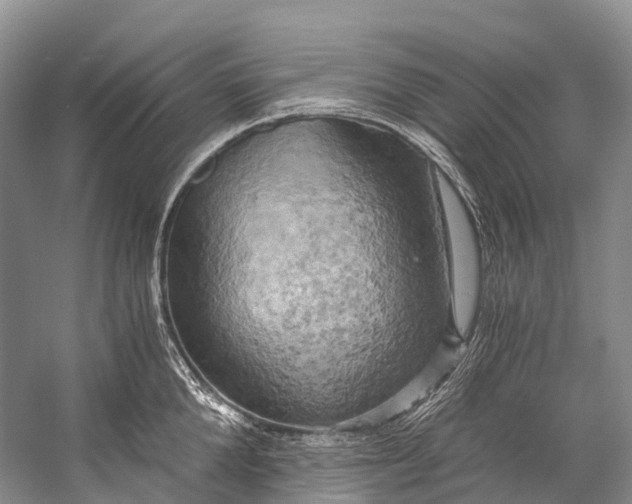 X0000058800904200510171343