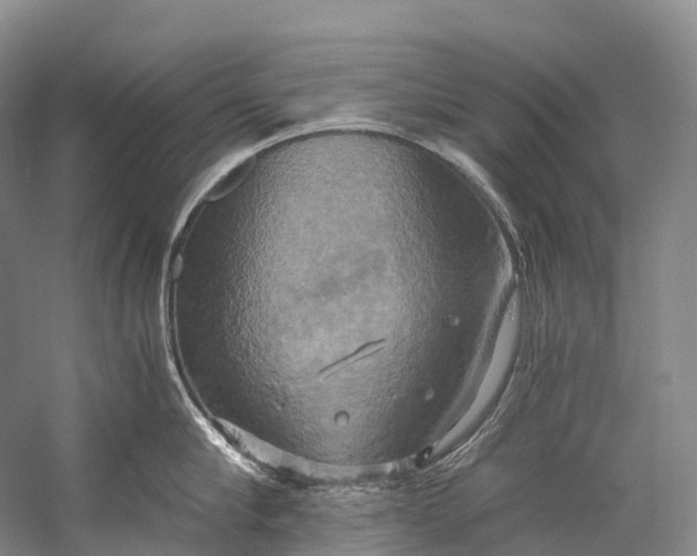 X0000058800910200510171343