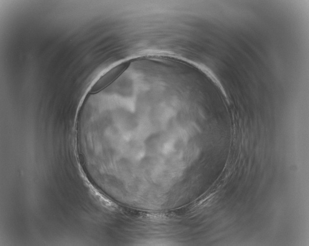 X0000058800911200510171343