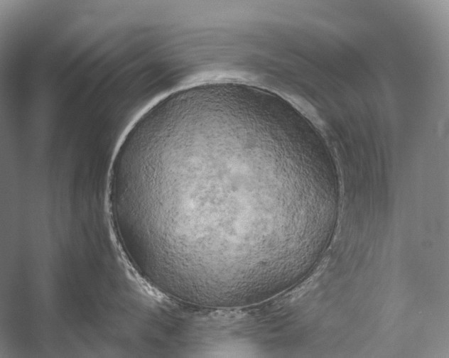 X0000058800912200510171343