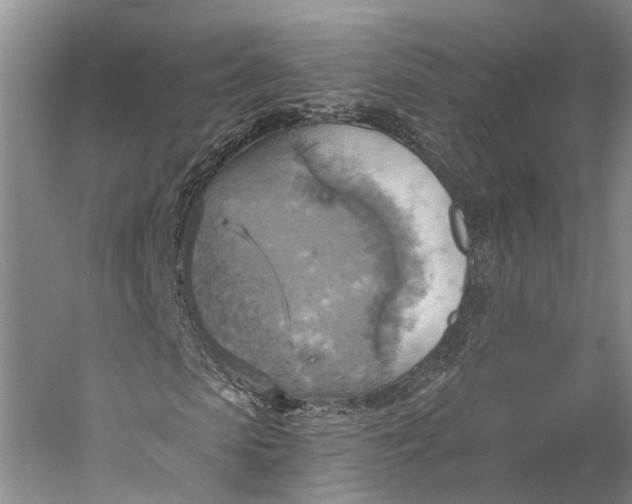 X0000058800913200510171343