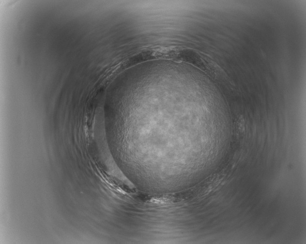 X0000058800914200510171343