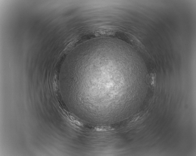 X0000058800915200510171343