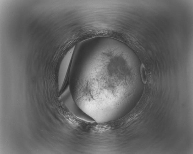 X0000058800916200510171343