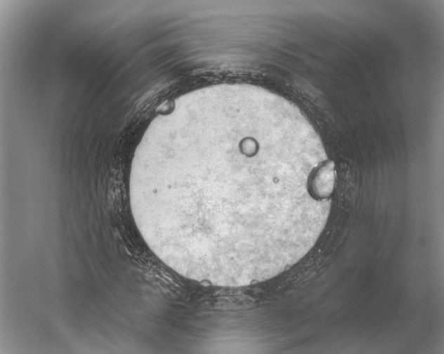 X0000058800918200510171343