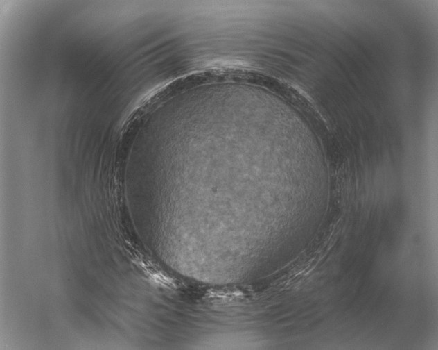 X0000058800919200510171343