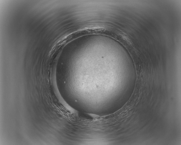 X0000058800920200510171343