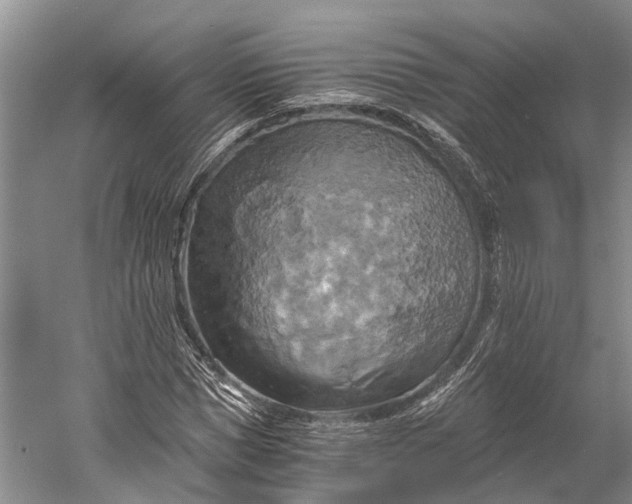 X0000058800921200510171343