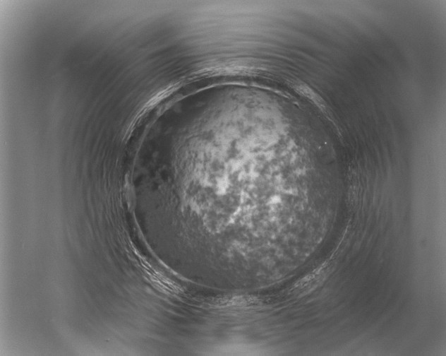 X0000058800922200510171343