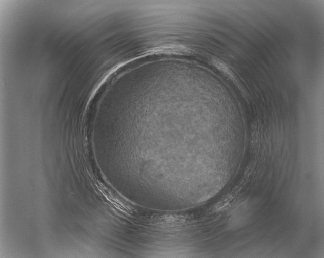 X0000058800923200510171343