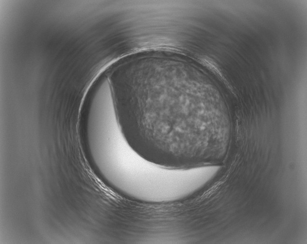 X0000058800924200510171343