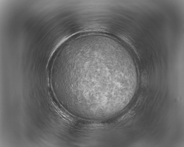 X0000058800925200510171343