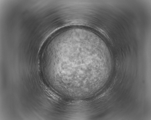 X0000058800926200510171343