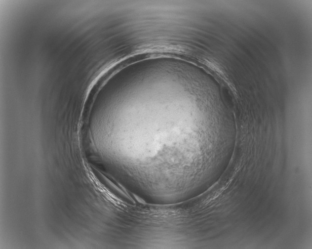 X0000058800928200510171343