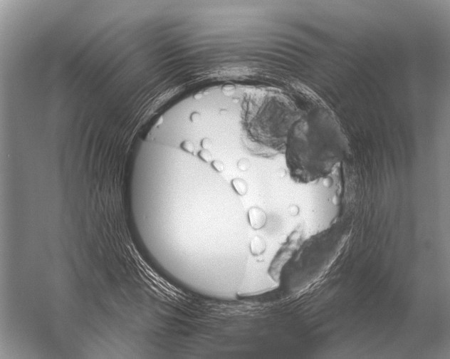 X0000058800929200510171343