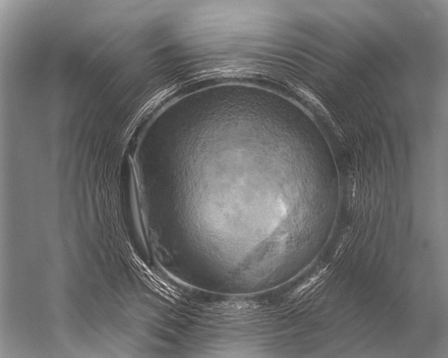 X0000058800930200510171343