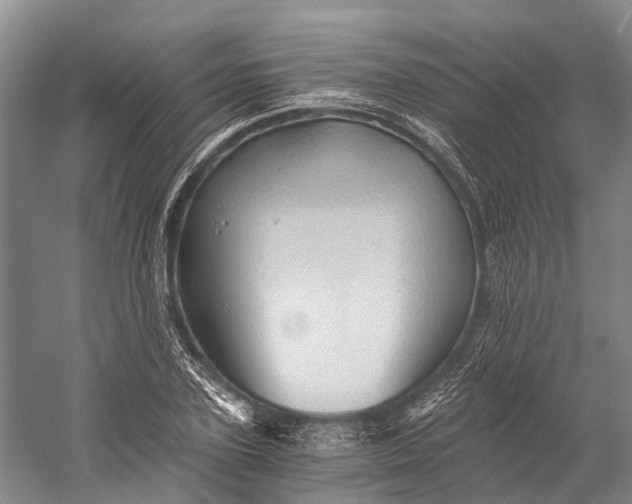 X0000058800931200510171343