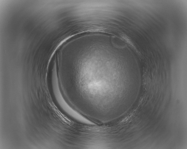 X0000058800932200510171343