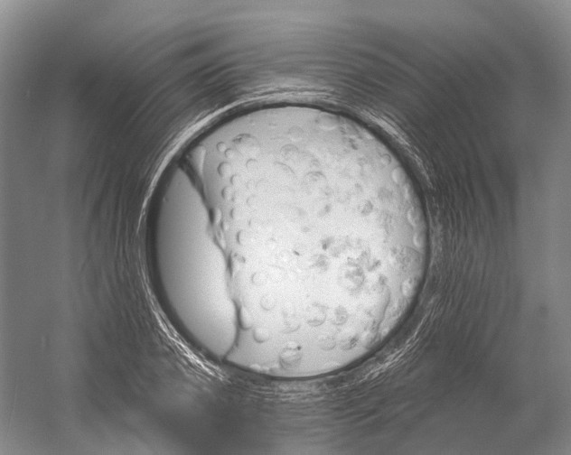 X0000058800933200510171343