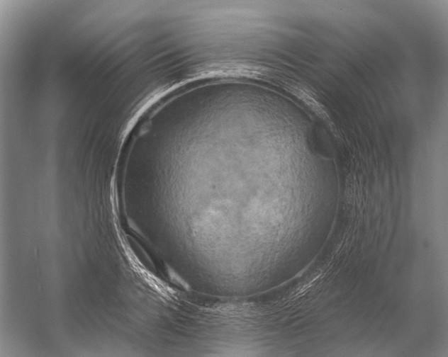 X0000058800936200510171343