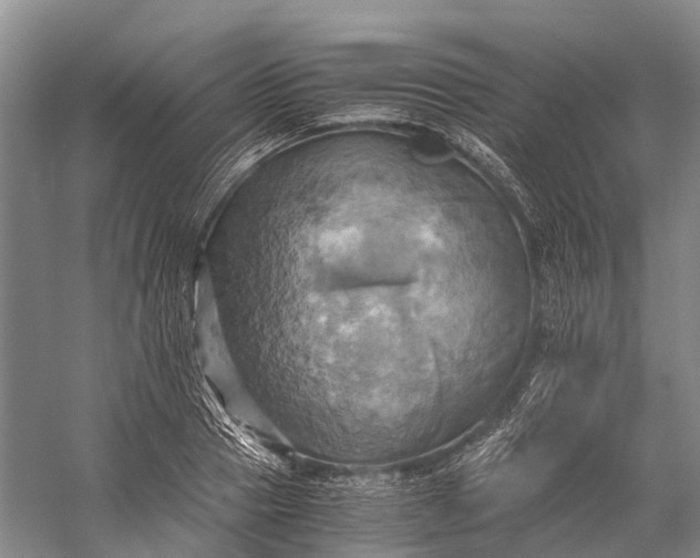 X0000058800937200510171343