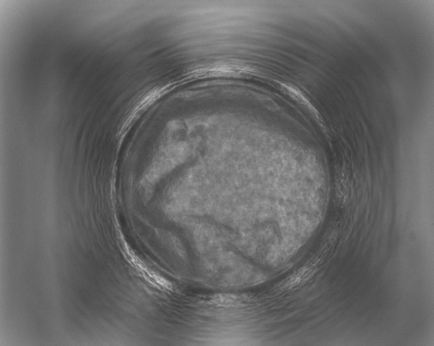 X0000058800938200510171343