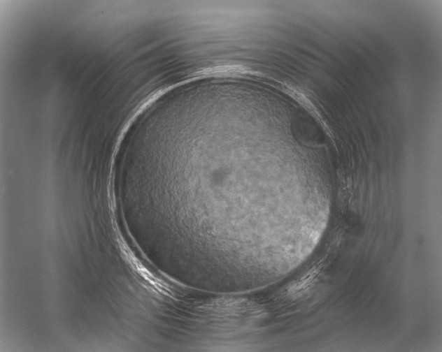 X0000058800939200510171343