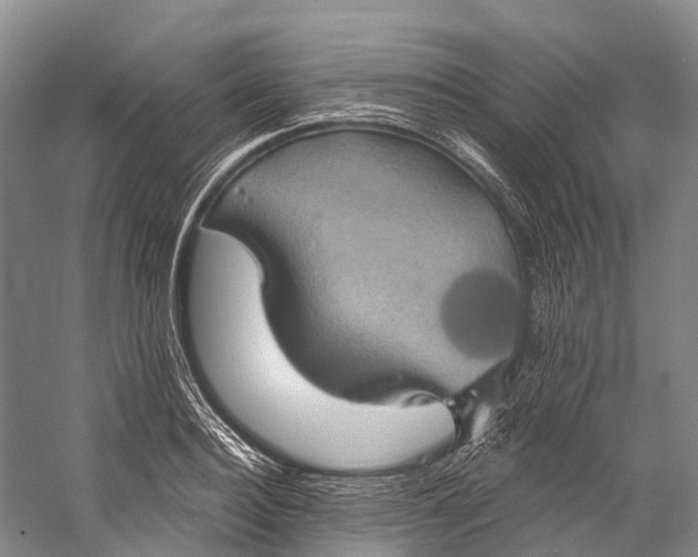 X0000058800940200510171343