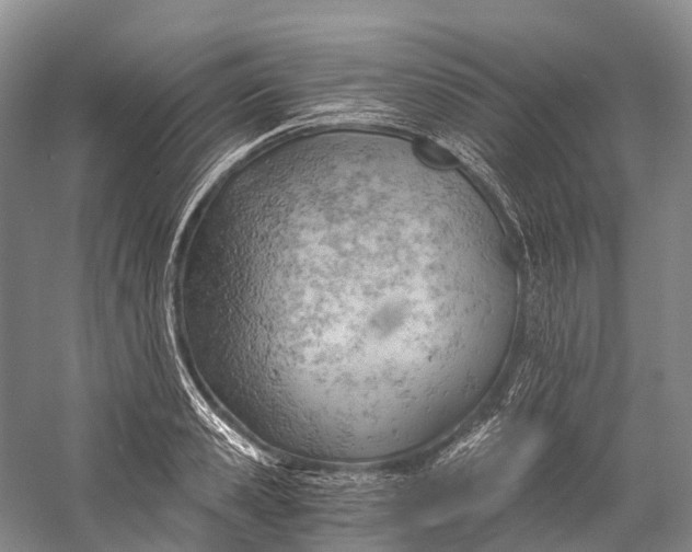 X0000058800941200510171343