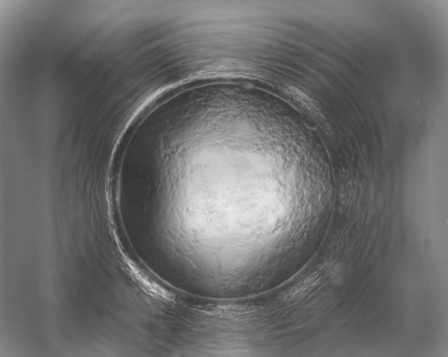 X0000058800942200510171343