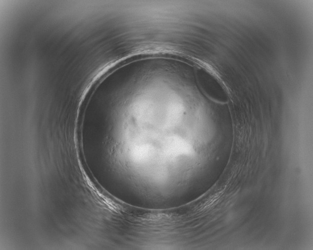 X0000058800943200510171343