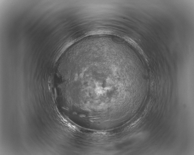 X0000058800945200510171343