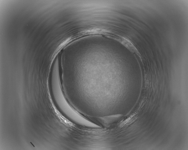 X0000058800946200510171343