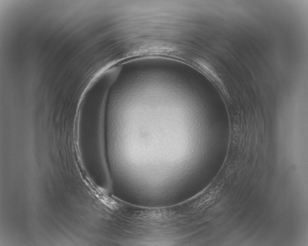 X0000058800948200510171343